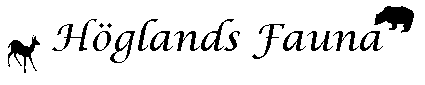 Mallsida