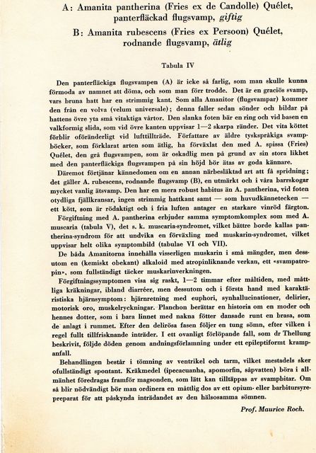 tavla4 b.jpg