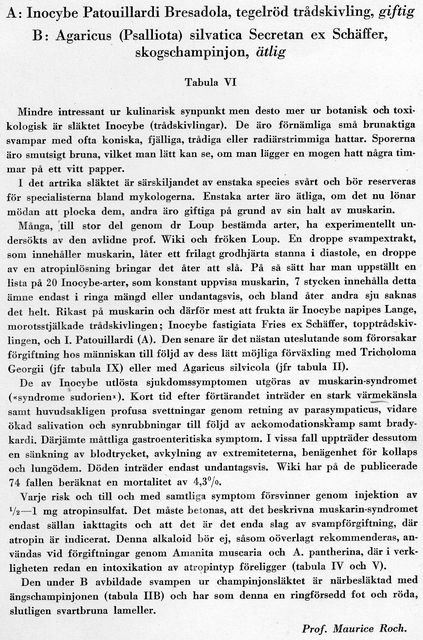 tavla 6 b.jpg