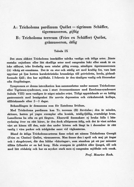 Tavla 9 b.jpg