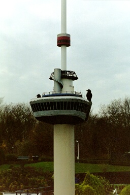 SMALL41.jpg SMALL41.jpg